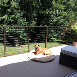 Buckskin Decking - Bronze Cable Railings<br> Monitor colors will vary. Request a color sample. LD17